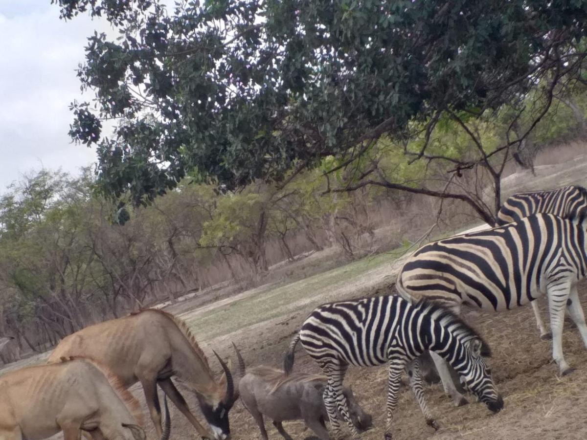 Pombo Kunda Villa Sanyang Dış mekan fotoğraf