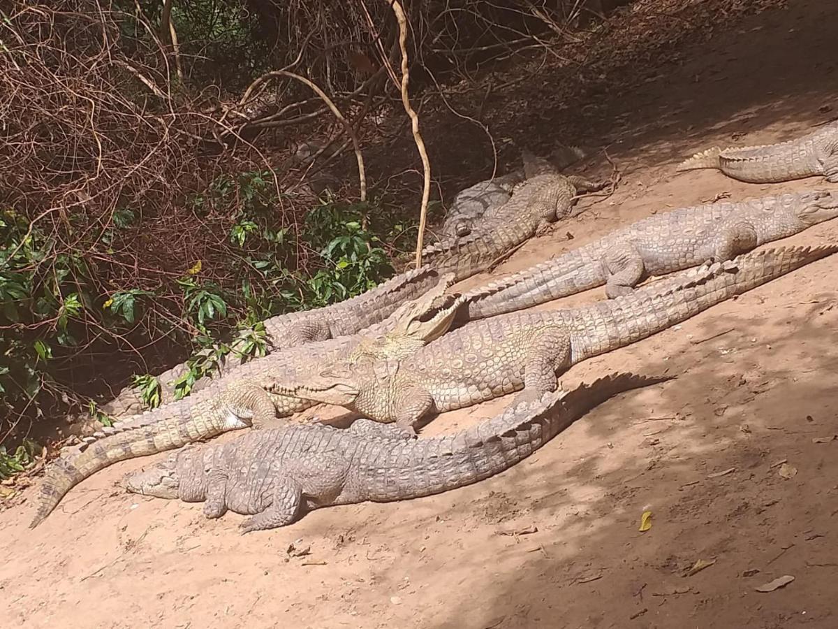 Pombo Kunda Villa Sanyang Dış mekan fotoğraf