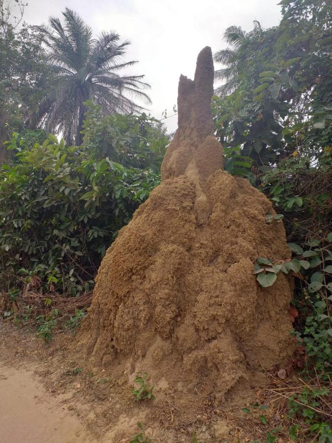 Pombo Kunda Villa Sanyang Dış mekan fotoğraf