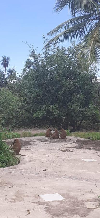 Pombo Kunda Villa Sanyang Dış mekan fotoğraf