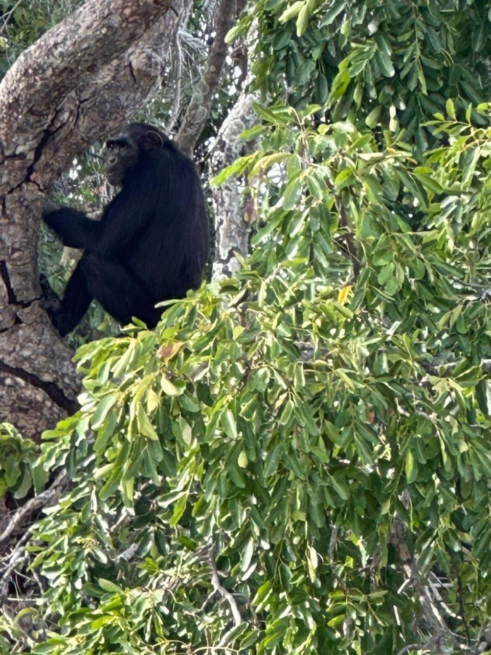 Pombo Kunda Villa Sanyang Dış mekan fotoğraf